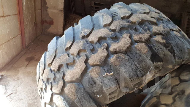 Interco Irok. ����� mt, �/�, ����� 50 % ����