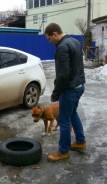 Автомаляр. Средне-специальное образование