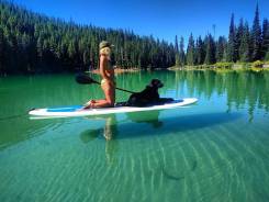 SUP САП доски в прокат, аренда (red paddle)