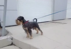 �������. ����