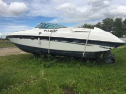 Yamaha SR-30SP ����