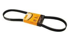 ������ ���������� Contitech 6PK1125 6PK1125 ����