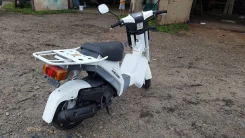 Suzuki Mollet. 49����. ��., ��������, ���������, ��� ������� ����