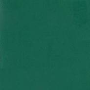 Линолеум Tarkett Omnisport Exel Forest Green E