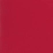 Линолеум Tarkett Omnisport Reference Red R