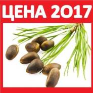 Орех кедровый. Под заказ