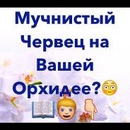 Удобрения, средства защиты растений.