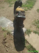 Suzuki Address V50 ����
