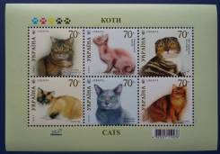 2007 Украина. Кошки. Малый лист (6 марок). Чистый