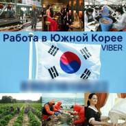 Трудоустройство в Южной Корее