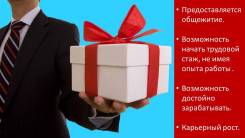 Торговый агент. ИП Илюмжинок М.А. Центр