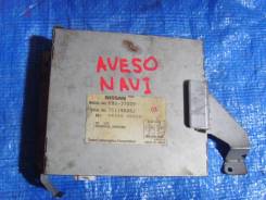 Блок управления навигацией. Nissan Elgrand, ALWE50, ATE50, AVE50, ATWE50, APWE50, AVWE50, ALE50, APE50 Двигатели: VQ35DE, VG33E, QD32ETI