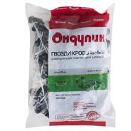 ГВОЗДИ Д/ОНДУЛИНА (100шт)