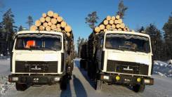 МАЗ 551605-280. Продаются два МАЗА 5516-05 EURO 2, 14 850 куб. см., 20 000 кг.