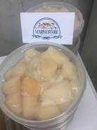 Морской гребешок.