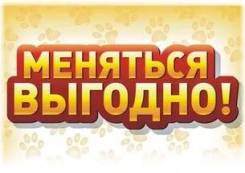 Обмен моих лотов на стройматериалы и гсм.