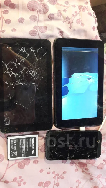 Irbis ����