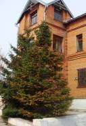 Продам пансионат 570 кв. м , в селе Новотроицкое. Село Новотроицкое ул Набережная 2а, р-н Хабаровский, 570 кв. м.