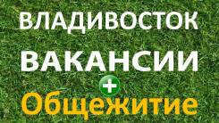 Помощник торгового представителя. ИП Кучеров. Владивосток
