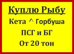 Кета.