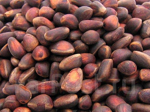 Леспаркхоз мытищи лев борисович. Леспаркхоз тюмень. Шишка кедровая с орехами. Леспаркхоз мытищи лев борисович. Кедровый орех неочищенный 1кг.