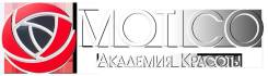 Академия Красоты Motico. Татуаж. Брови, веки, губы. Обучение.