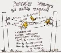 Физика , математика