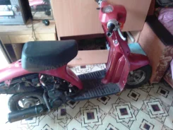 Suzuki Ran. 49����. ��., ��������, ��� ���, ��� ������� ����