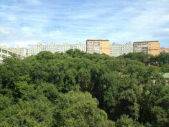 Гостинка, улица Кирова 62. Вторая речка, 24 кв. м. Вид из окна днем