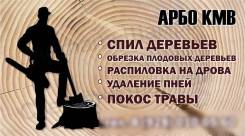 Спил деревьев