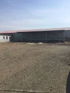 ������ ���������������� � ������� ��������� � ��������� ��������. ����� �������� 2, �-� ������, 1 460,0���.��. ����