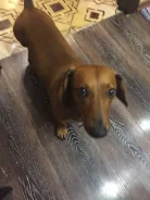 ������. ����