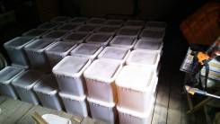 Продам в розницу мёд под заказ в Хабаровске Мед, медовые продукты. Под заказ