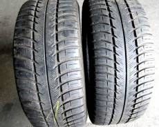 Goodyear Eagle Vector EV-2. Зимние, 2014 год, износ: 20%, 2 шт