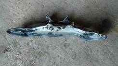 Подушка коробки передач. Subaru Legacy Lancaster, BH9, BHE