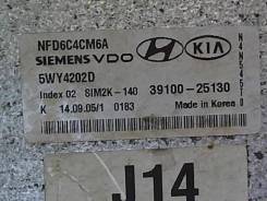 Блок управления (ЭБУ) Hyundai Sonata NF 2005-2010