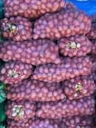 Продам вкусный домашний картофель адретта с доставкой до порога. во Владивостоке Картофель. Под заказ