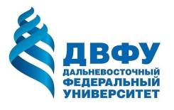 Системный аналитик. ДВФУ. Улица Аякс (о. Русский) корпус B