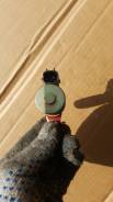 Клапан vvt-i. Nissan: Bluebird Sylphy, Sunny, Micra C+C, Note, Tino, Almera, Avenir, March, Wingroad, Cube, Micra, Primera, Cube Cubic, AD, Expert Дви...
