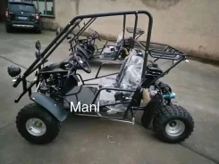 Arctic Cat 150. ��������, ��� ���\���, ��� �������. ��� ����� �� ������������ ����