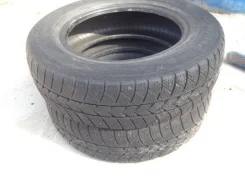 Rosava WQ-101. ������, ��� �����, 2010 ���, ����� ����