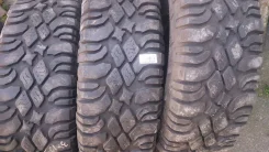 Pit Bull. ����� mt, �/�, ����� 5 % ����