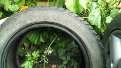 Goodyear UltraGrip Extreme. ������, ��� ����, �/�, ����� 40�%