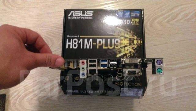 H81 ����