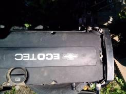 Крышка головки блока цилиндров. Chevrolet Aveo, T300 Двигатель F16D4