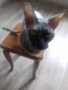 ������. ����
