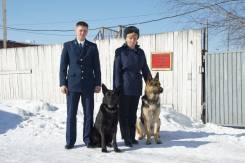 Кинолог. ФКУ ИК-14 УФСИН России по Хабаровскому краю. Шоссе Машиностроителей 10