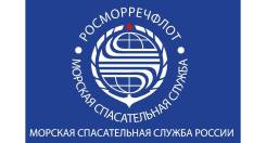 Директор филиала. ФБУ "Морспасслужба Росморречфлота". Г. Владивосток , ул. Причал 44