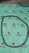 Уплотнитель стекла двери. Toyota Altezza, GXE10, GXE10W, GXE15, GXE15W, JCE10, JCE10W, JCE15, JCE15W Двигатели: 1GFE, 2JZGE