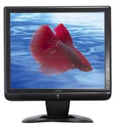ASUS. 17" (43 см), технология LCD (ЖК)